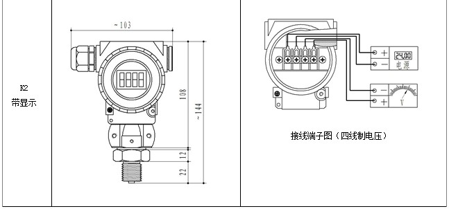 DS4000压力变送器