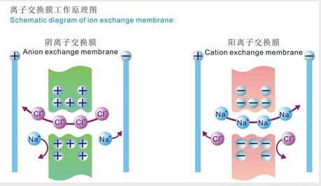 北京优质低价供应电渗析 电渗析技术 电渗析系统 电渗析脱盐设备淄博林森专业制造示例图1